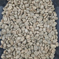 Green Bean Coffee