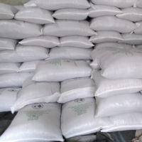 Green Bean Coffee