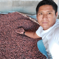 Cocoa Beans 70kg