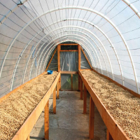 COOPERATIVA AGRARIA INTERCULTURAL DE CAFÉ Y CACAO rio tambo - VRAEM