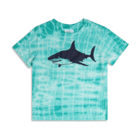 Tie Dye Graphic Tee Shirt