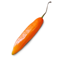 Yellow Pepper