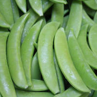 Sugarsnap Peas 2kg, 4.5kg. and 10lb