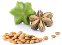 Roasted Sacha Inchi Seeds 20kg