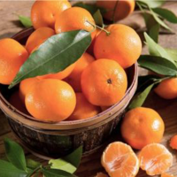 Mandarine