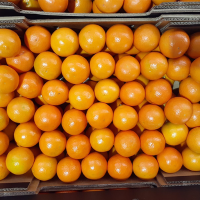 Mandarine