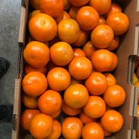 Mandarine