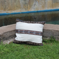 Living Room Cushion Covers